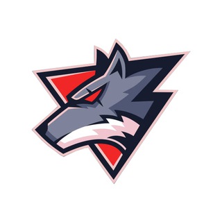 لوگوی کانال تلگرام wolf_trader_youtube — Wolf Trader
