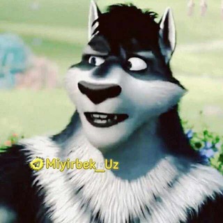 Telegram kanalining logotibi wolf_wolk_tiktok_uz — WOLF WOLK | SHURCHI QUWAYT