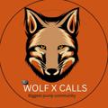Telegram kanalining logotibi wolf_x_calls — 𝙒𝙊𝙇𝙁 𝙓 𝘾𝘼𝙇𝙇𝙎 🔈💰
