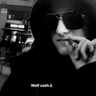 Логотип телеграм -каналу wolfcashh — Wolf cash 💰
