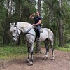 Логотип телеграм канала @wolffshow — Wolf 🐺