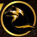 Logo saluran telegram wolfgoldsemgale — 🐺ANÁLISES SEM GALE - FREE🏅