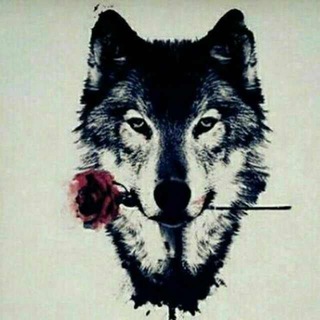 لوگوی کانال تلگرام wolfgray33 — WOLFGRAY
