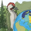Логотип телеграм канала @wolfkitses — Вольф Кицес