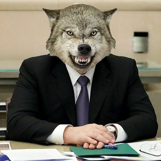 Логотип телеграм канала @wolflov — Мемы с волками  250