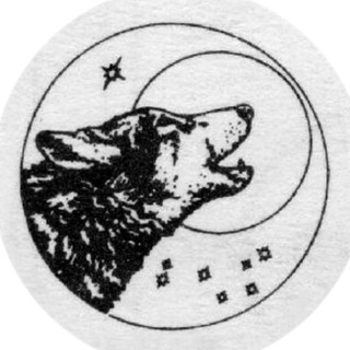 Логотип телеграм канала @wolfmagicka — Wolf Magicka - магия, ведьмовство, оккультизм