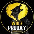 Logo saluran telegram wolfprooxy — 𝗪𝗢𝗟𝗙 𝗣𝗥𝗢𝗢𝗫𝗬 | پروکسی