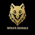 Telgraf kanalının logosu wolfxsignals1_free — Wolfx signals