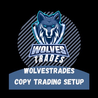 Logotipo do canal de telegrama wolvescopy - Copy Trading Setup