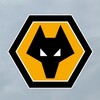 Логотип телеграм канала @wolveswon — Вулверхэмптон | Wolverhampton Wanderers 🐺