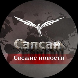 Логотип телеграм канала @womenarea — САПСАН📍 СВЕЖИЕ НОВОСТИ