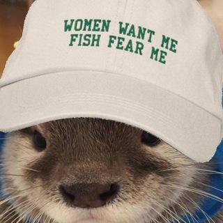 Логотип телеграм канала @womenwantmefishfearme — Анжелика