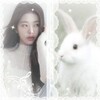 Telegram channel Зᴀйᴋинᴀ ᴩуᴛинᴀ🐰࿐ logo