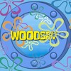 Logo of telegram channel woodsayloopz — woodsay loopz