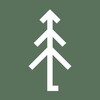 Логотип телеграм канала @woodyoumind — СосныЕлиШишки 🌲