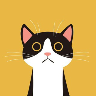 Логотип телеграм канала @woolballs — Котики | Cats
