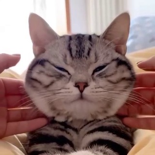 Логотип телеграм канала @woolenki — шерстяные валенки