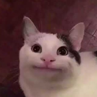 Логотип телеграм канала @wooppie — Have a good day, bitch!