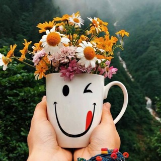 لوگوی کانال تلگرام woordss — ﴿❁ورود✿مـبـ؏ـثـرهـৡৣ❁﴾