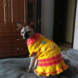 Логотип телеграм канала @work_viza_poland — Документы и визы & VizaPolad. Бесплатные вакансии в Польшу