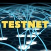 Логотип телеграм -каналу work_testnet — Work TESTNET