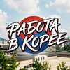 Логотип телеграм канала @workkorean1 — 🇰🇷 КОРЕЯ РАБОТА 🇰🇷