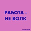 Логотип телеграм канала @worknotvolk — работа - не волк