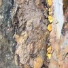 የቴሌግራም ቻናል አርማ workofficialchannel — Gold Info