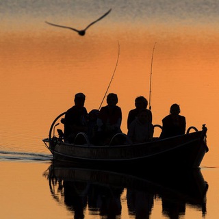 Логотип телеграм канала @world_fishing — Рыбаки International