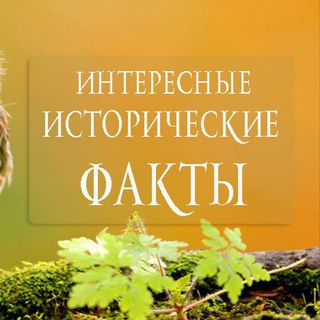 Логотип телеграм канала @world_histori2727 — Исторические факты