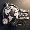 Telegram channel WorldAutoImport logo