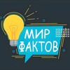 Логотип телеграм канала @worldfact24 — Мир Фактов