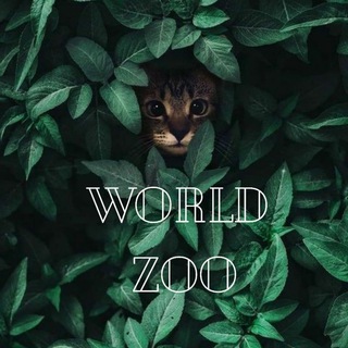 Логотип телеграм канала @worldzoo — World ZOO 🐿