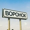 Логотип телеграм канала @woronok1 — Типичный Воронок️️️