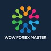 Logo of telegram channel wowforexmaster — Wow Forex Master