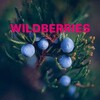 Логотип телеграм канала @wowwildberries — Находки на Wildberries🔥