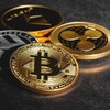 Логотип телеграм канала @wrccfg — VIP-ТРЕЙДИНГ