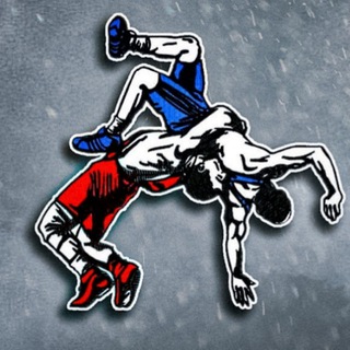 Логотип телеграм канала @wrestle_time — Вольная Борьба