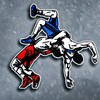 Логотип телеграм канала @wrestletimeis — Вольная Борьба