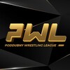 Логотип телеграм канала @wrestliga — PWL