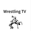 Логотип телеграм канала @wrestlingtv59 — Пермские борцы🤼‍♂️