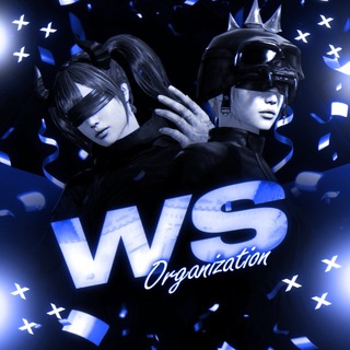 Telegram channel WS ORGANIZATION logo