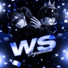 Логотип телеграм канала @ws_organization — WS ORGANIZATION