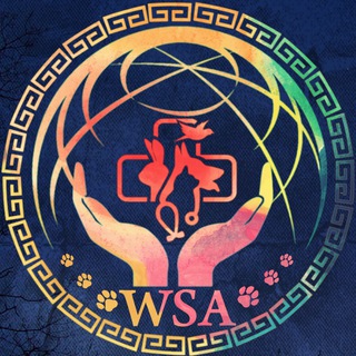 Logo of telegram channel wsa_announcements — WSA -ANNOUNCEMENTS