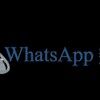 Logo of telegram channel wsdata — Ws data, stock fan, shoping database, rich people phone number, whastapp active data, job seekers, betting , phone data seller.