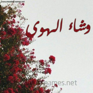 لوگوی کانال تلگرام wshaa_alhoa — 🌸وشہاء الہهوى.🙊💜﴿ֆ ❥🌸