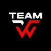 Telegram channel WW TEAM logo