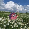 Логотип телеграм канала @wtfyouphill — (не)прыгающий пхил