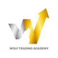 Logo saluran telegram wtge1 — WolfTrade1111