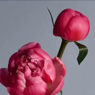 Логотип телеграм канала @wth_love — Тепло Души